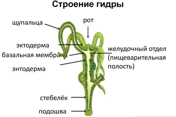 Ссылка вход в мегу