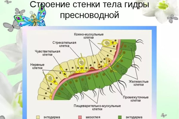 Рабочие ссылки BlackSprut onion