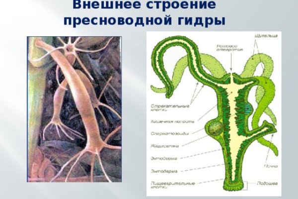 Ссылка на кракен тор магазин