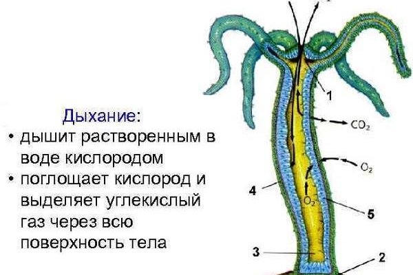 Заказать мефедрон