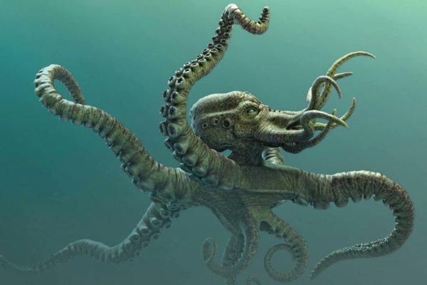 Кракен магазин kraken014 com