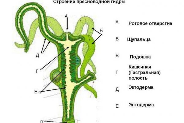 Megaruzxpnew4af union ссылка