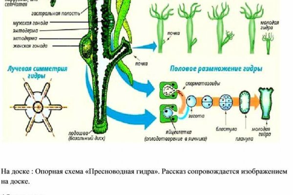 Кракен оригинал