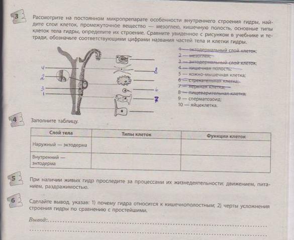 Сайт мега даркнет megadarknetonion com