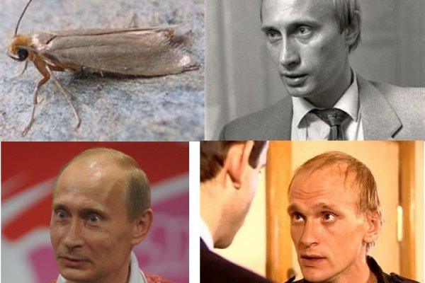 Кракен 16 даркнет продаж